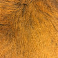Мех искусственный для головных уборов (Беларусь)  в Пятигорске