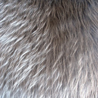 Мех искусственный длинноворсовый  в Пятигорске