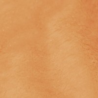 Мех искусственный, коротковорсовый  в Пятигорске