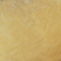 Мех искусственный, коротковорсовый  в Пятигорске