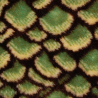 Мех искусственный, коротковорсовый  в Пятигорске