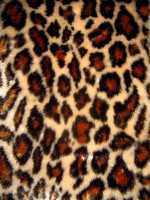 Мех искусственный, коротковорсовый  в Пятигорске